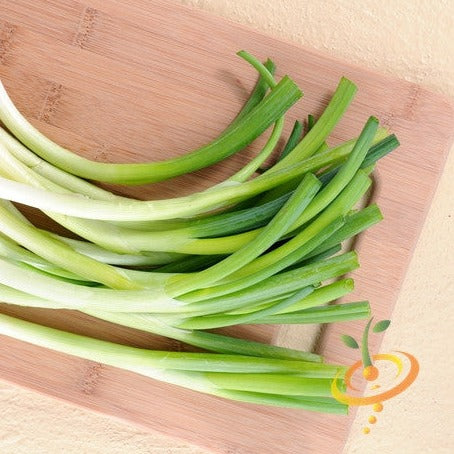 Onion - Evergreen (Bunching)