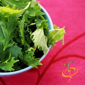 Fresh green mizuna mustard leaves in a bowl on a red surface