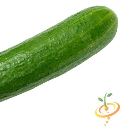 Cucumber - Marketmore - SeedsNow.com