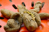 Potato (Late-Season) Fingerling - Russian Banana (ORGANIC) - SeedsNow.com