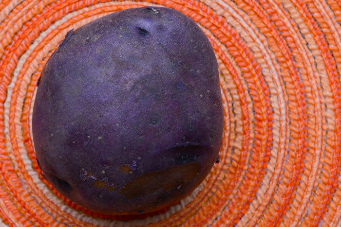 Potato (Mid-Season) - Huckleberry Gold (ORGANIC) - SeedsNow.com