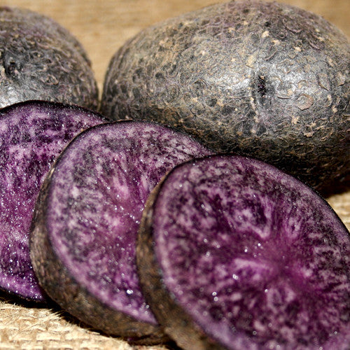 Potato (Mid-Season) - Purple Majesty (ORGANIC)