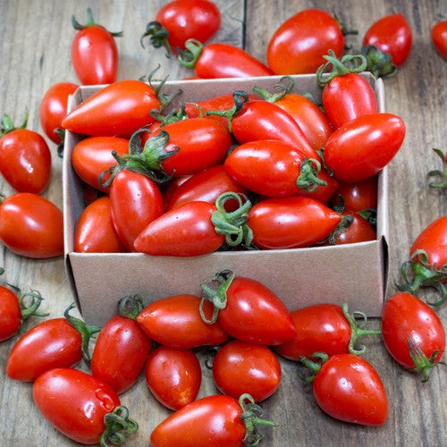 Tomato - San Marzano (Indeterminate)