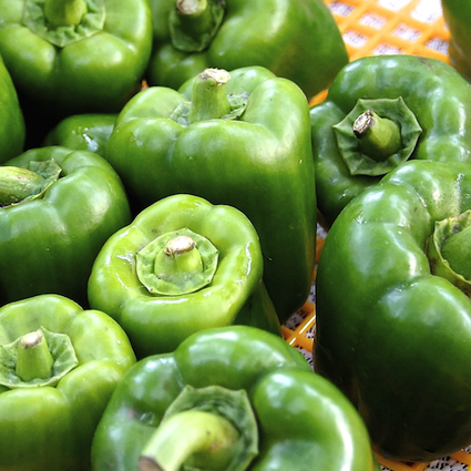 Pepper (Sweet) - Emerald Giant