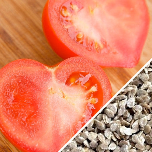 Tomato - Oxheart, Pink (Indeterminate)