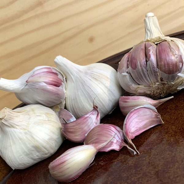 Garlic - (Hard Neck) Violet