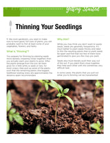 *FREE* ORGANIC GARDENING GROW GUIDES eBOOK - SeedsNow.com