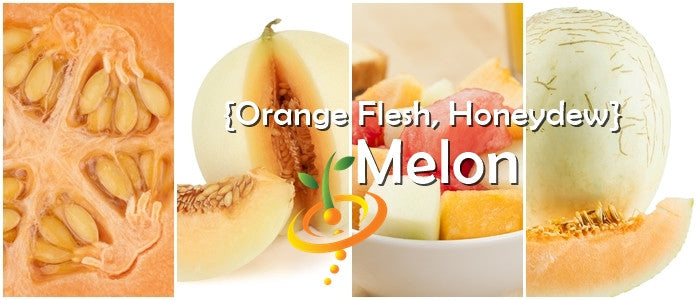 Melon - Orange Flesh, Honeydew.