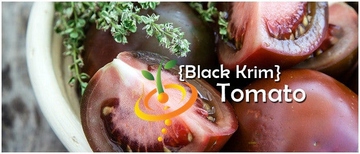 Tomato - Black Krim [INDETERMINATE].