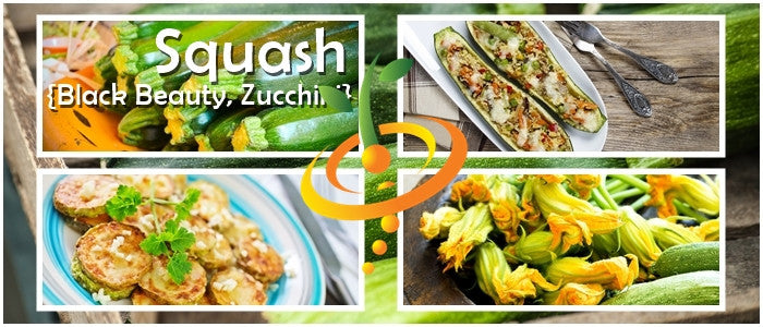 Squash (Summer) - Black Beauty Zucchini.