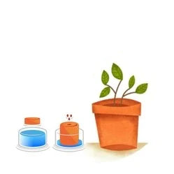 *Seed Starting Soil Pods* (ORGANIC) - SeedsNow.com