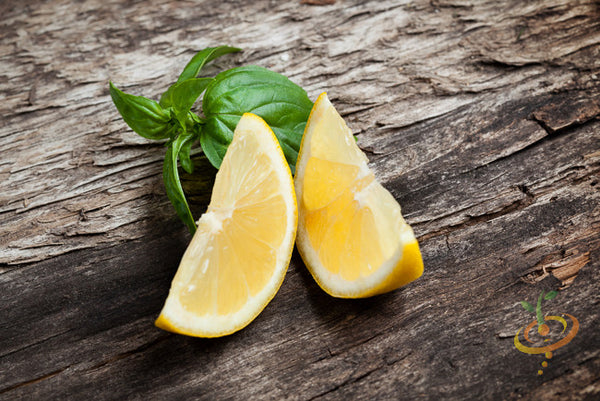 Basil, Lemon (HYBRID) - SeedsNow.com