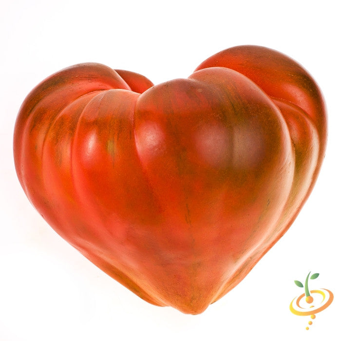 Tomato - Oxheart, Pink (Indeterminate) - SeedsNow.com