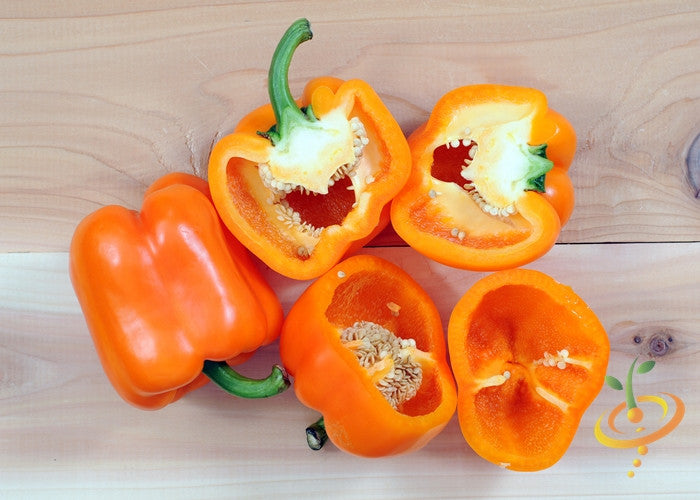 Pepper (Sweet) - Orange Horizon - SeedsNow.com