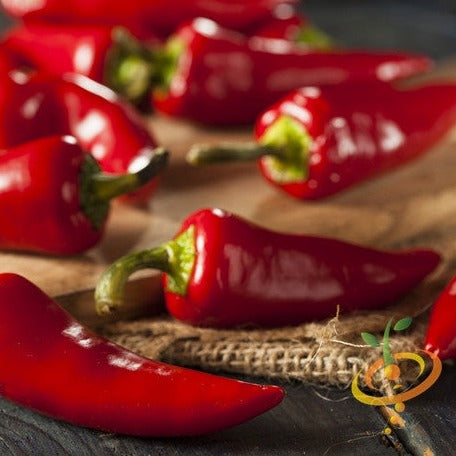 Pepper (Hot) - Fresno Chili 🔥🔥