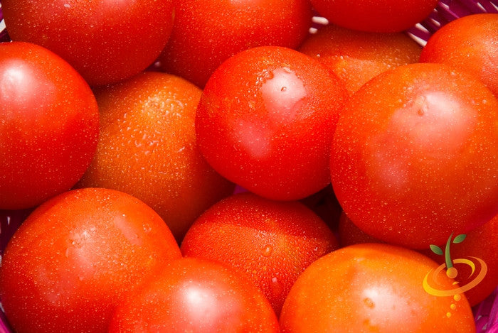 Tomato - Marglobe Supreme (Indeterminate) - SeedsNow.com
